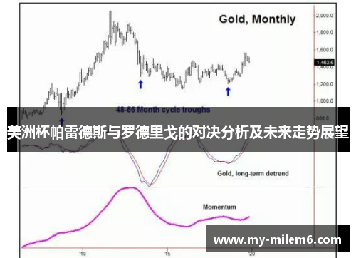 美洲杯帕雷德斯与罗德里戈的对决分析及未来走势展望
