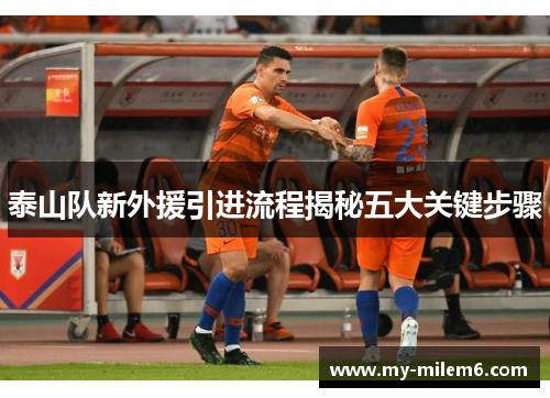 泰山队新外援引进流程揭秘五大关键步骤
