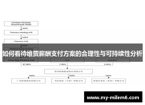 如何看待维贾薪酬支付方案的合理性与可持续性分析