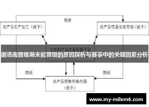 谢浩南曾维瀚未能晋级的原因探析与赛事中的关键因素分析