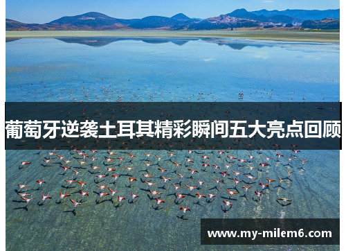 葡萄牙逆袭土耳其精彩瞬间五大亮点回顾