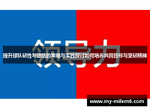 提升球队韧性与团结的策略与实践探讨如何培养共同目标与坚韧精神