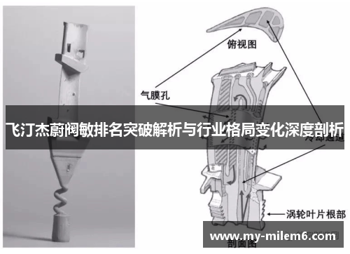 飞汀杰蔚阀敏排名突破解析与行业格局变化深度剖析