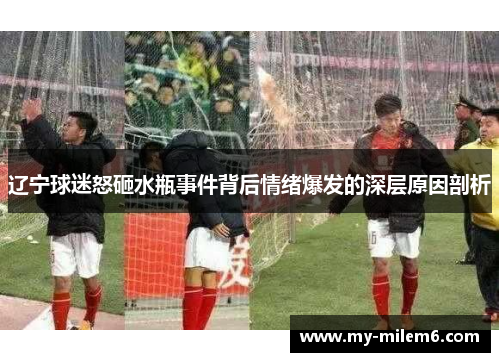 辽宁球迷怒砸水瓶事件背后情绪爆发的深层原因剖析