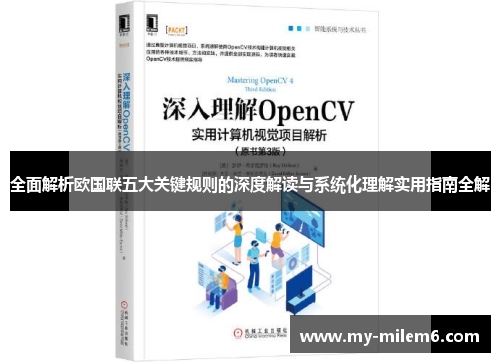 全面解析欧国联五大关键规则的深度解读与系统化理解实用指南全解 全面解析欧国联五大关键规则的深度解读与系统化理解实用指南全解