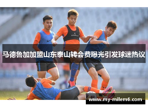 马德鲁加加盟山东泰山转会费曝光引发球迷热议