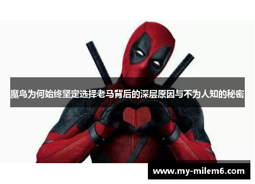 魔鸟为何始终坚定选择老马背后的深层原因与不为人知的秘密